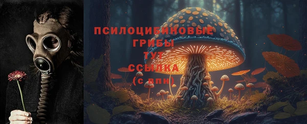 мяу мяу мука Верея