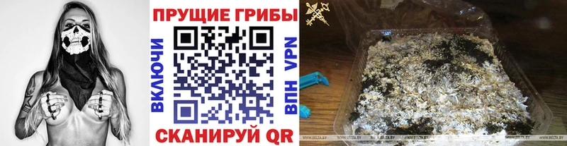 OMG зеркало  Ветлуга  Галлюциногенные грибы Psilocybe  что такое наркотик 