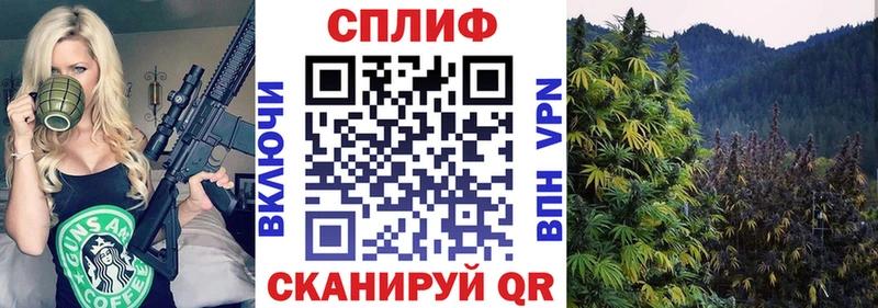 как найти закладки  Ветлуга  Каннабис Amnesia 
